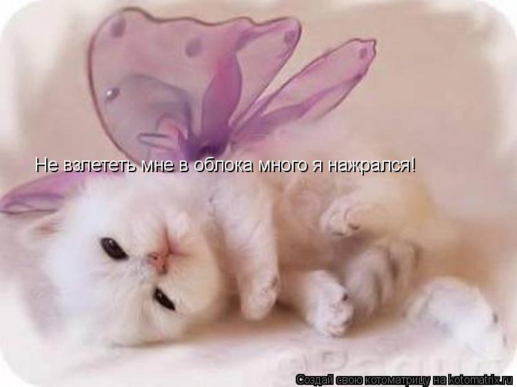 Не взлететь мне в облока много я нажрался!... Котоматрица: Не взлететь мне в облока много я нажрался!