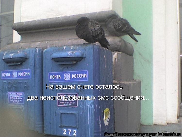 На вашем счете осталось два неиспользованных смс сообщения...... Котоматрица: На вашем счете осталось два неиспользованных смс сообщения...