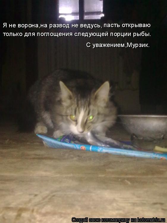 Котоматрица: Я не ворона,на развод не ведусь, пасть открываю  только для поглощения следующей порции рыбы. С уважением,Мурзик.