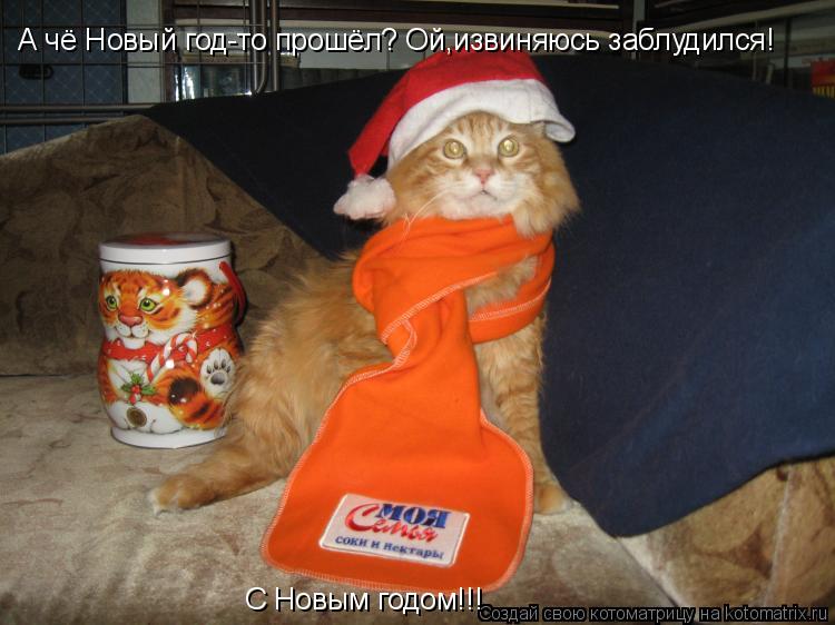 А чё Новый год-то прошёл? Ой,извиняюсь заблудился! С Новым годом!!!... Котоматрица: А чё Новый год-то прошёл? Ой,извиняюсь заблудился! С Новым годом!!!