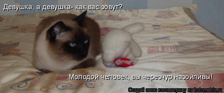 Девушка, а девушка- как вас зовут? Молодой человек, вы черезчур назойливы!... Котоматрица: Девушка, а девушка- как вас зовут? Молодой человек, вы черезчур назойливы!