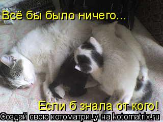 Всё бы было ничего... Если б знала от кого!... Котоматрица: Всё бы было ничего... Если б знала от кого!