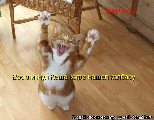 ЕВРИКА! Воскликнул Кеша когда нашел колбасу... Котоматрица: ЕВРИКА! Воскликнул Кеша когда нашел колбасу