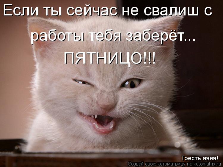 Если ты сейчас не свалиш с работы тебя заберёт... ПЯТНИЦО!!! Тоесть яяяя!... Котоматрица: Если ты сейчас не свалиш с работы тебя заберёт... ПЯТНИЦО!!! Тоесть яяяя!