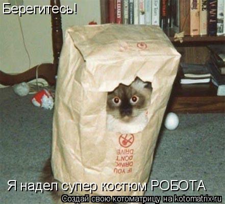 Берегитесь! Я надел супер костюм РОБОТА... Котоматрица: Берегитесь! Я надел супер костюм РОБОТА