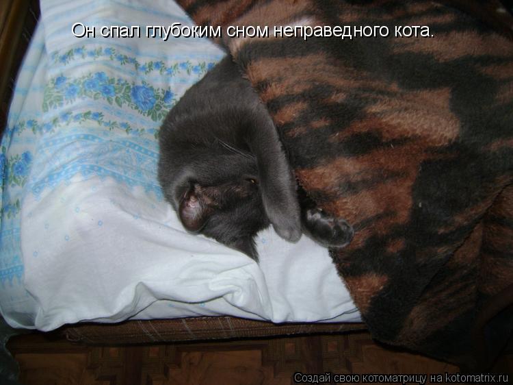 Котоматрица: Он спал глубоким сном неправедного кота.