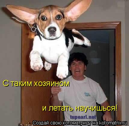 С таким хозяином и летать научишься!... Котоматрица: С таким хозяином и летать научишься!