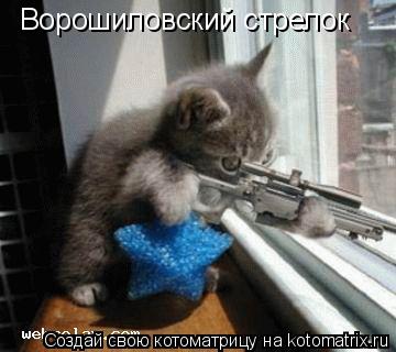 Ворошиловский стрелок... Котоматрица: Ворошиловский стрелок