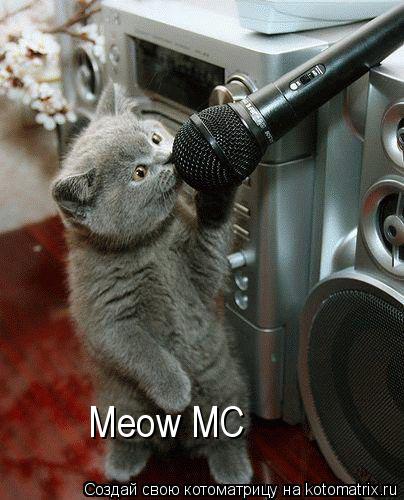 Meow MC... Котоматрица: Meow MC