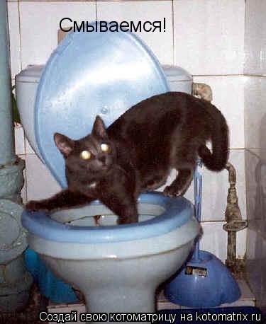 Смываемся!... Котоматрица: Смываемся!