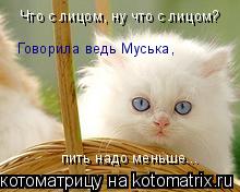 Котоматрица: Что с лицом, ну что с лицом?     Что с лицом, ну что с лицом?     Говорила ведь Муська, пить надо меньше...