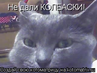 Котоматрица: Не дали КОЛБАСКИ!
