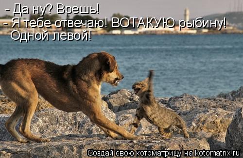 Котоматрица: - Да ну? Врешь! - Я тебе отвечаю! ВОТАКУЮ рыбину! Одной левой!
