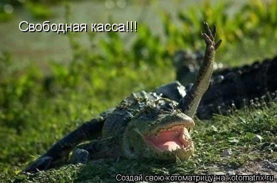 Котоматрица: Свободная касса!!!