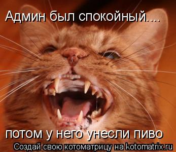 Котоматрица: Админ был спокойный.... потом у него унесли пиво