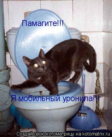 Котоматрица: Памагите!!! Я мобильный уронила!!!