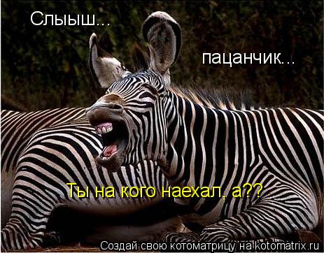 Котоматрица: Слыыш...  пацанчик... Ты на кого наехал, а??