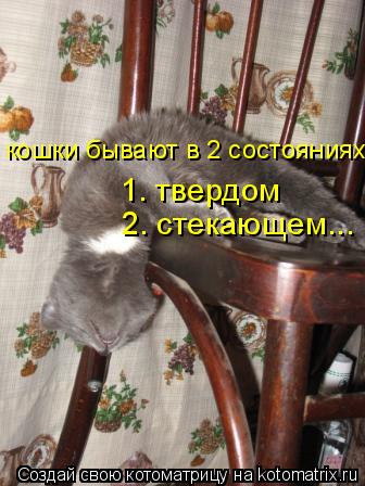 Котоматрица: кошки бывают в 2 состояниях: 1. твердом 2. стекающем...