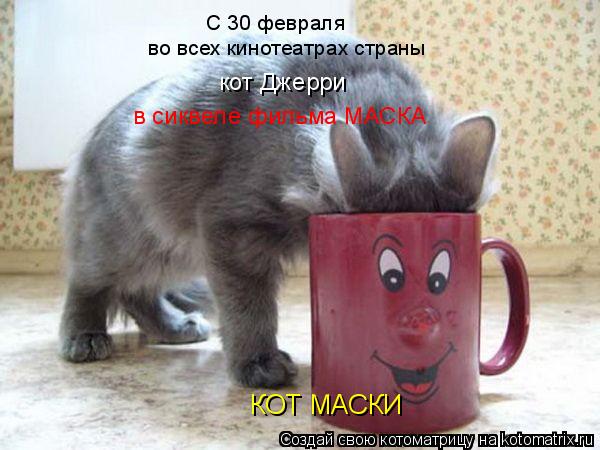 Котоматрица: КОТ МАСКИ С 30 февраля во всех кинотеатрах страны кот Джерри  в сиквеле фильма МАСКА