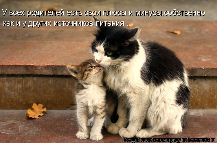 Котоматрица: У всех родителей есть свои плюсы и минусы,собственно как и у других источников питания...