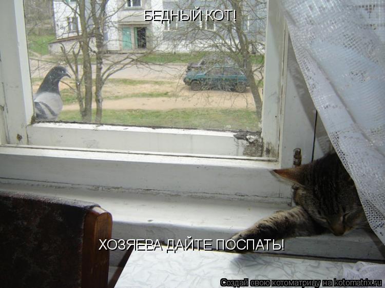 Котоматрица: БЕДНЫЙ КОТ! ХОЗЯЕВА ДАЙТЕ ПОСПАТЬ!