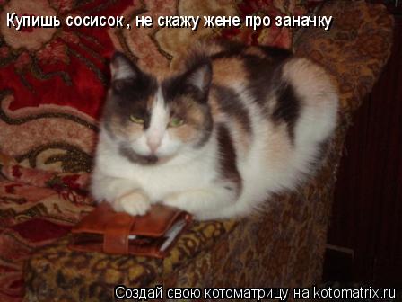 Котоматрица: Купишь сосисок , не скажу жене про заначку