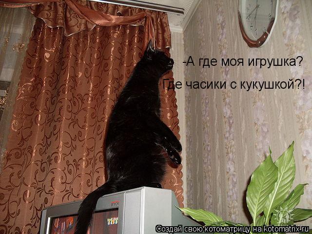 Котоматрица: -А где моя игрушка?  Где часики с кукушкой?!