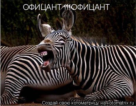 Котоматрица: ОФИЦАНТ !!!ОФИЦАНТ