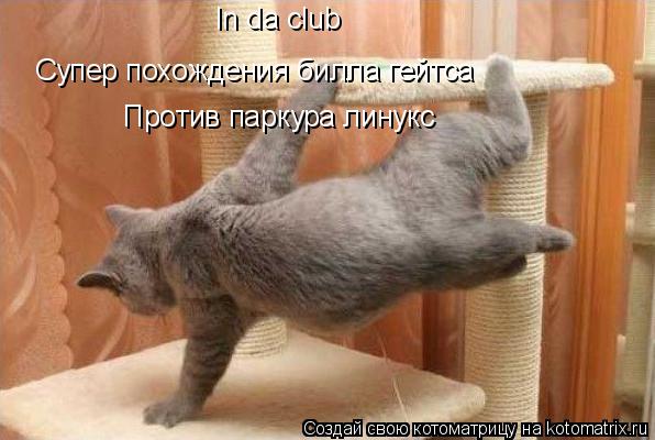 Котоматрица: In da club Супер похождения билла гейтса Против паркура линукс