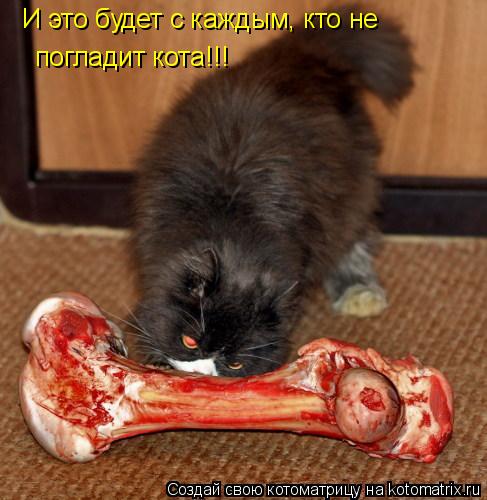 Котоматрица: И это будет с каждым, кто не  погладит кота!!!