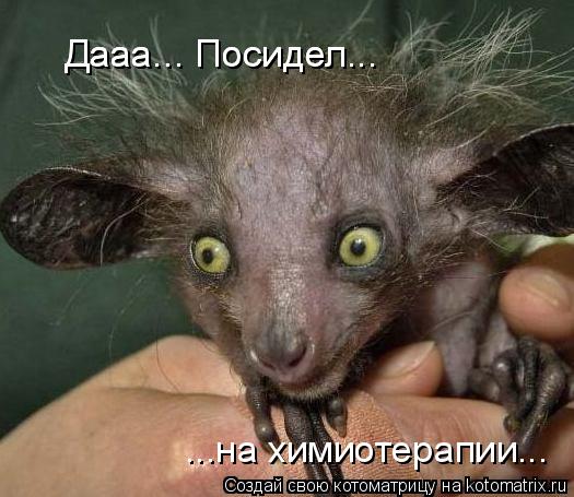Котоматрица: Дааа... Посидел... Дааа... Посидел... ...на химиотерапии...