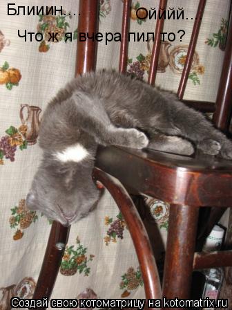 Котоматрица: Блииин....  Ойййй....  Что ж я вчера пил то?