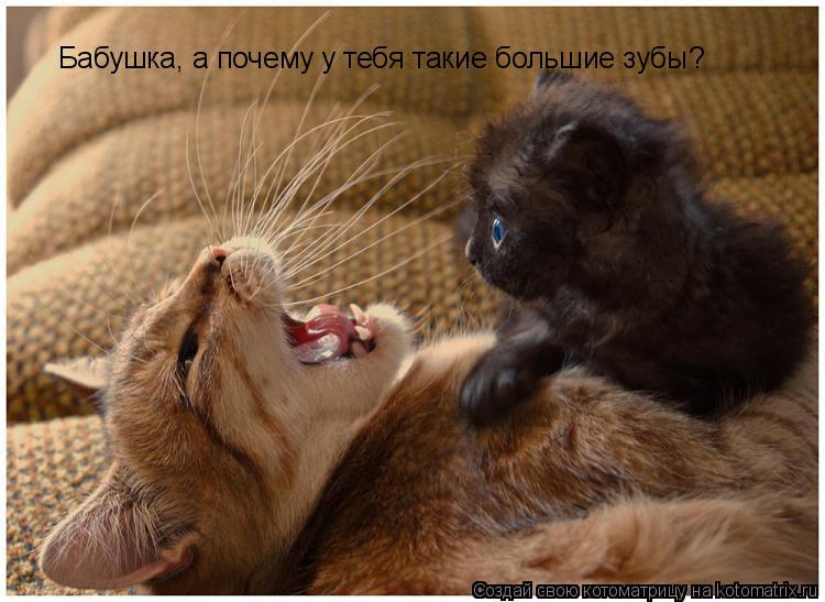 Котоматрица: Бабушка, а почему у тебя такие большие зубы?
