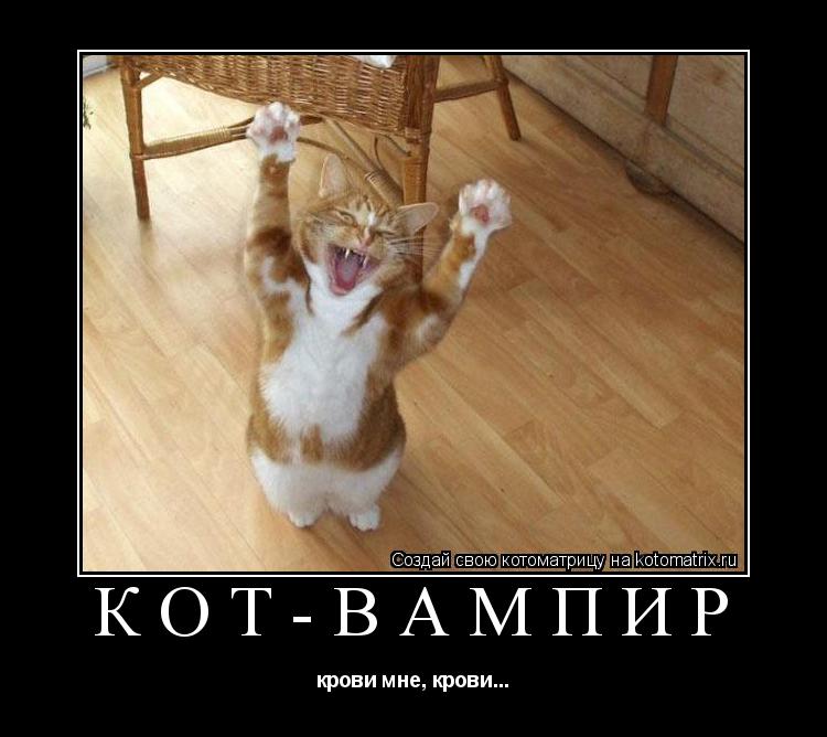 КОТ-ВАМПИР крови мне, крови...... Котоматрица: КОТ-ВАМПИР крови мне, крови...