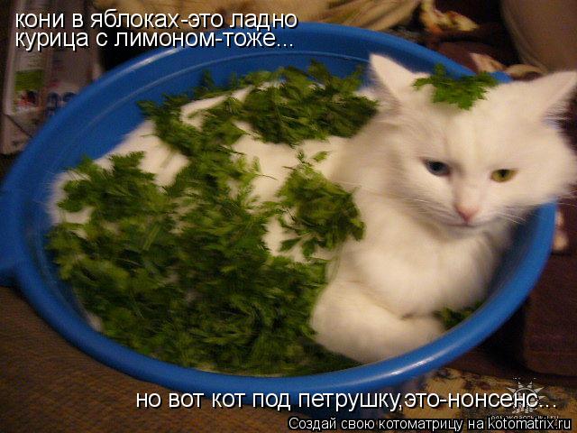 Котоматрица: кони в яблоках-это ладно курица с лимоном-тоже... но вот кот под петрушку,это-нонсенс...