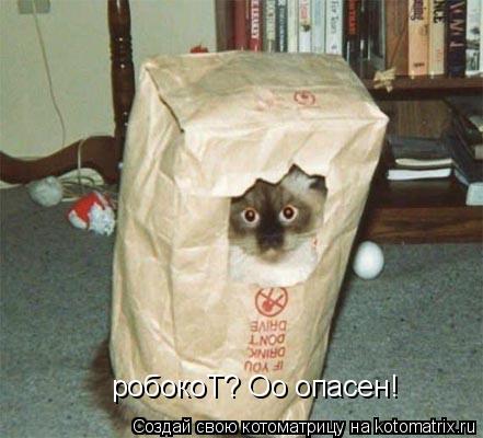 Котоматрица: робокоТ? Оо опасен!