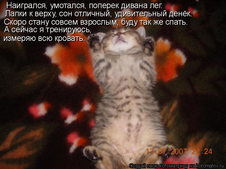 Наигрался, умотался, поперек дивана лег. Лапки к верху, сон отличный, удивительный денёк. Скоро стану... Котоматрица: Наигрался, умотался, поперек дивана лег. Лапки к верху, сон отличный, удивительный денёк. Скоро стану совсем взрослым, буду так же спать. А се