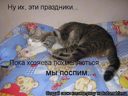 Котоматрица: Ну их, эти праздники... Пока хозяева похмеляються,  мы поспим...
