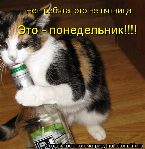 Котоматрица: Нет, ребята, это не пятница Это - понедельник!!!!
