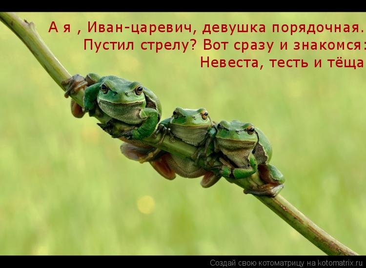 А я , Иван-царевич, девушка порядочная. Пустил стрелу? Вот сразу и знакомся: Невеста, тесть и тёща... Котоматрица: А я , Иван-царевич, девушка порядочная. Пустил стрелу? Вот сразу и знакомся: Невеста, тесть и тёща