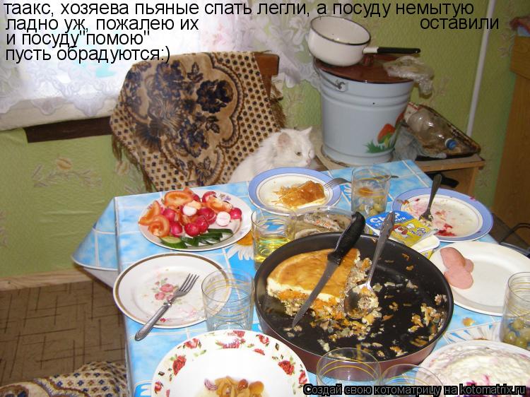Котоматрица: таакс, хозяева пьяные спать легли, а посуду немытую оставили ладно уж, пожалею их и посуду"помою" пусть обрадуются:)