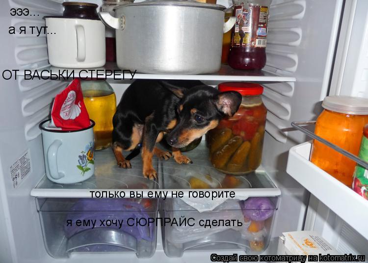 Котоматрица: эээ... а я тут... ОТ ВАСЬКИ СТЕРЕГУ только вы ему не говорите я ему хочу СЮРПРАЙС сделать