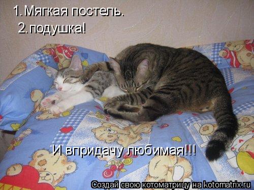 Котоматрица: 1.Мягкая постель. 2.подушка! И впридачу любимая!!!