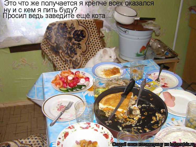Котоматрица: Это что же получается я крепче всех оказался ну и с кем я пить буду? Просил ведь заведите ещё кота....
