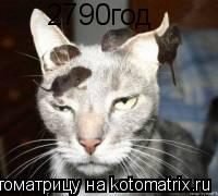 Котоматрица: 2790год