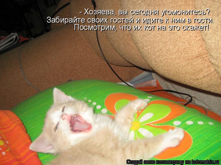 - Хозяева, вы сегодня угомонитесь? Забирайте своих гостей и идите к ним в гости. Посмотрим, что их ко... Котоматрица: - Хозяева, вы сегодня угомонитесь? Забирайте своих гостей и идите к ним в гости. Посмотрим, что их кот на это скажет!