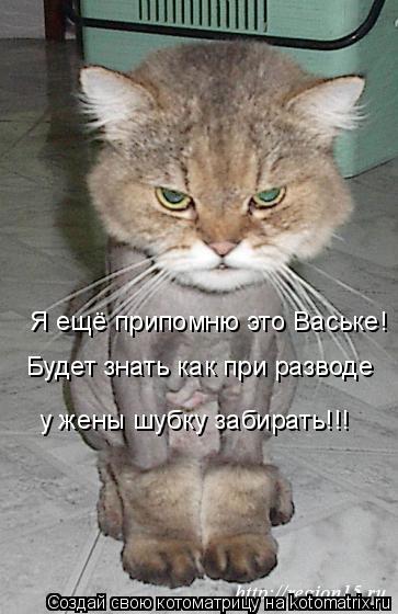 Котоматрица: Я ещё припомню это Ваське! Будет знать как при разводе  у жены шубку забирать!!!