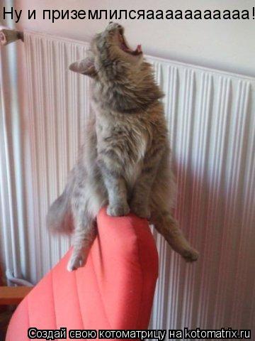Ну и приземлилсяааааааааааа!... Котоматрица: Ну и приземлилсяааааааааааа!