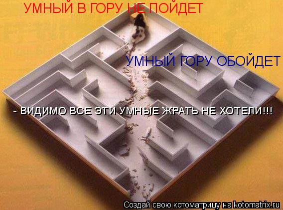 УМНЫЙ В ГОРУ НЕ ПОЙДЕТ УМНЫЙ ГОРУ ОБОЙДЕТ - ВИДИМО ВСЕ ЭТИ УМНЫЕ ЖРАТЬ НЕ ХОТЕЛИ!!!... Котоматрица: УМНЫЙ В ГОРУ НЕ ПОЙДЕТ УМНЫЙ ГОРУ ОБОЙДЕТ - ВИДИМО ВСЕ ЭТИ УМНЫЕ ЖРАТЬ НЕ ХОТЕЛИ!!!