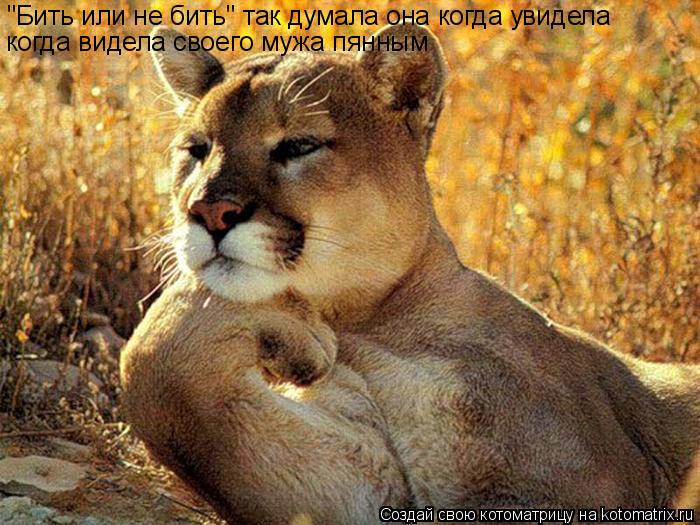 "Бить или не бить" так думала она когда увидела когда видела своего мужа пянным... Котоматрица: "Бить или не бить" так думала она когда увидела когда видела своего мужа пянным